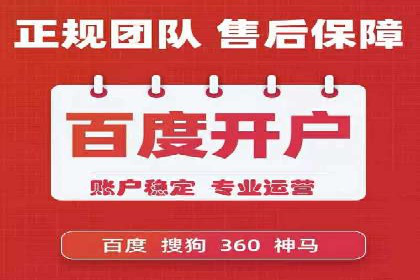 行业领先企业如何运用SEM进行精准营销